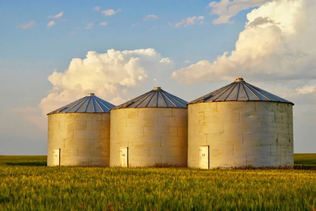 Three grain silos in field help illustrate "what is an information silo"